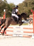 DSC08368 DSC08368