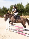 DSC08370 DSC08370