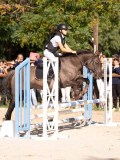 DSC08375 DSC08375