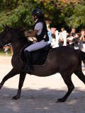 DSC08379 DSC08379