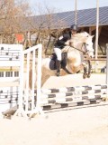 DSC01019
