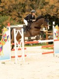 DSC07684 DSC07684