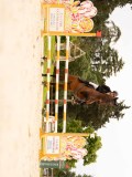 DSC06682