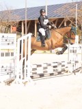 DSC01169