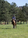 IMG_1966