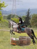 IMG_8497