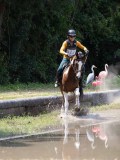 IMG_6781