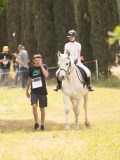 24_09539 24_09539