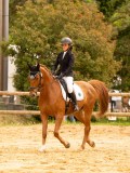 DSC06724 DSC06724