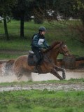 24_03530 24_03530