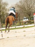 DSC03533 DSC03533