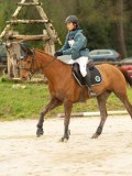 DSC03538 DSC03538
