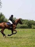 IMG_6830