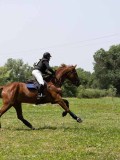 IMG_6831