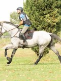 MAX03082