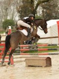 DSC03690 DSC03690