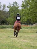 IMG_3666