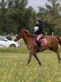 IMG_8575