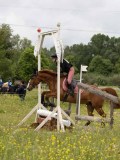 IMG_8576