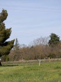 IMG_1932