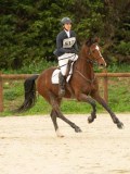 DSC03767 DSC03767