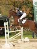 DSC03775 DSC03775