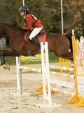 DSC03865 DSC03865