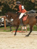DSC03868 DSC03868