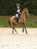DSC03838 DSC03838