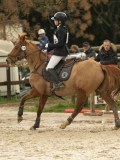 DSC03845 DSC03845