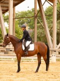 DSC07004