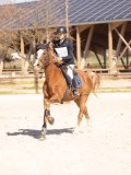 DSC01193