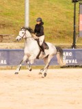 DSC00050 DSC00050