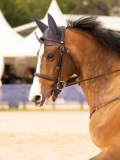 DSC00658 DSC00658