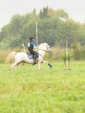 MAX01834
