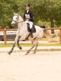DSC03545 DSC03545
