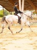 DSC05544 DSC05544