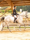 DSC05552 DSC05552