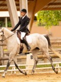 DSC05569 DSC05569