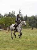 IMG_2220 IMG_2220