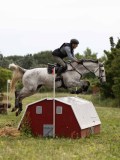 IMG_2222 IMG_2222