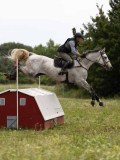 IMG_2223 IMG_2223