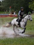 IMG_2231 IMG_2231