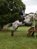 IMG_2232 IMG_2232