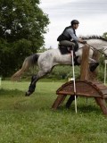IMG_2233 IMG_2233