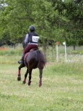IMG_3690
