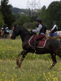 IMG_8670