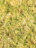 DSC05402