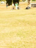 DSC05454