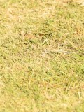 DSC05470